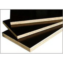 Film faced shuttering plywood